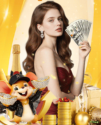 556bet multi dispositivo